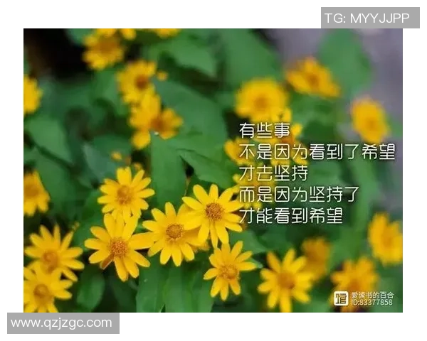 张帆的奋斗历程与成长故事揭示了追梦路上的坚持与勇气